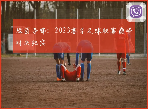 绿茵争锋：2023赛季足球联赛巅峰对决纪实