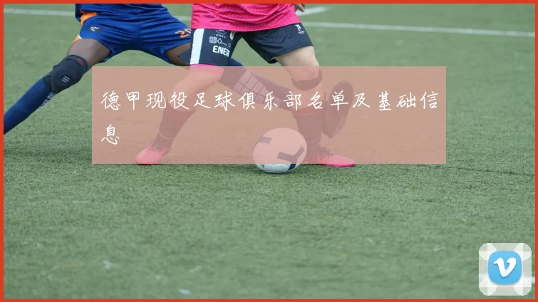 德甲现役足球俱乐部名单及基础信息